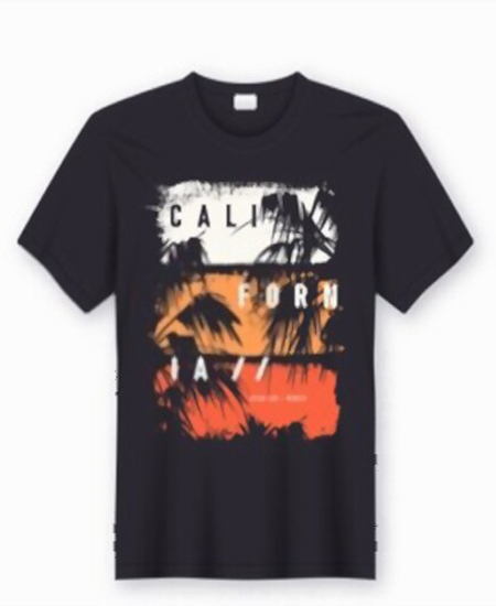 Single Print T-Shirt (CALIFORNIA) - Image 2